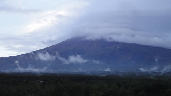 mount fuji - the top is hidden by swirling clouds.  There's a forest in the foreground